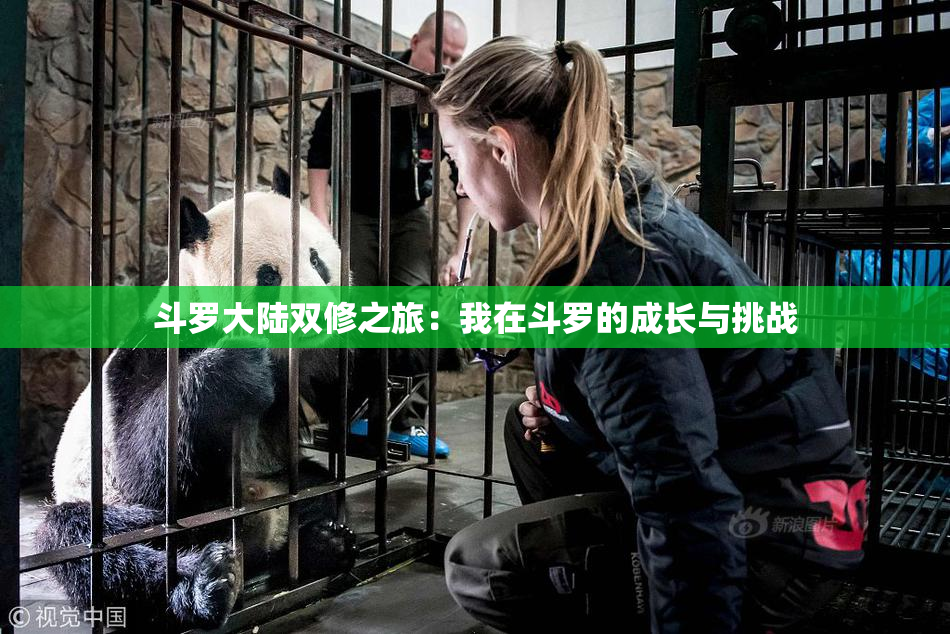 斗罗大陆双修之旅：我在斗罗的成长与挑战