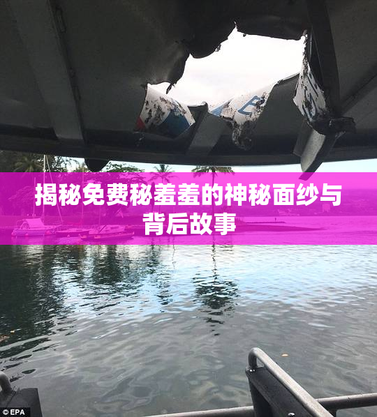 揭秘免费秘羞羞的神秘面纱与背后故事