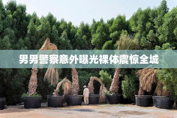 男男警察意外曝光裸体震惊全城