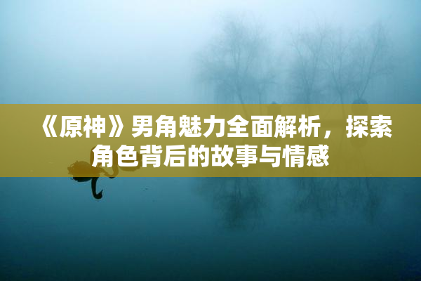 《原神》男角魅力全面解析，探索角色背后的故事与情感