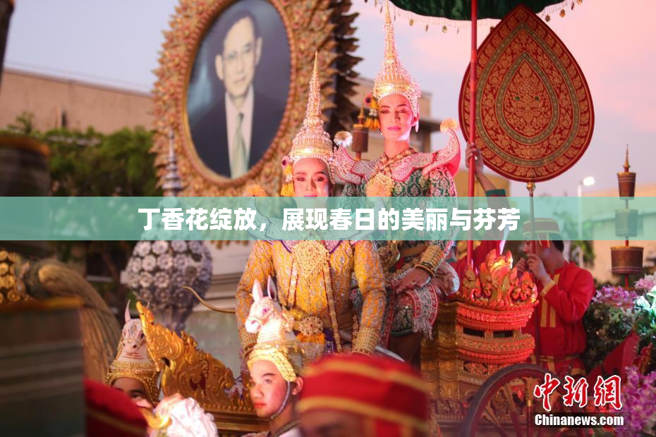 丁香花绽放，展现春日的美丽与芬芳