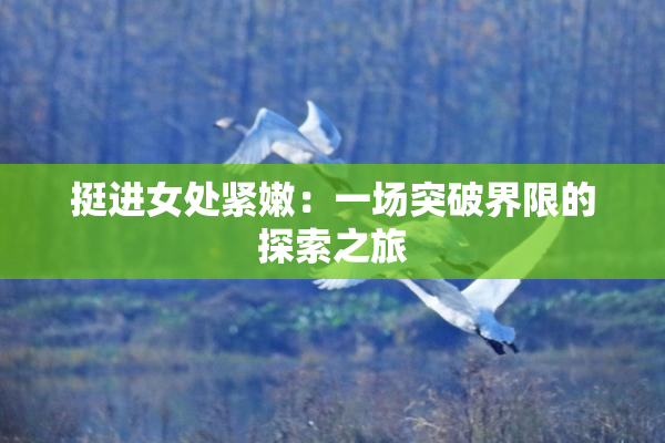 挺进女处紧嫩：一场突破界限的探索之旅