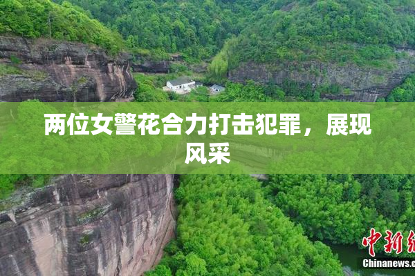 两位女警花合力打击犯罪，展现风采