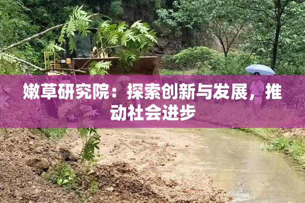 嫩草研究院：探索创新与发展，推动社会进步