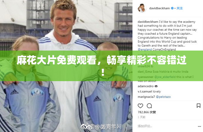 麻花大片免费观看，畅享精彩不容错过！