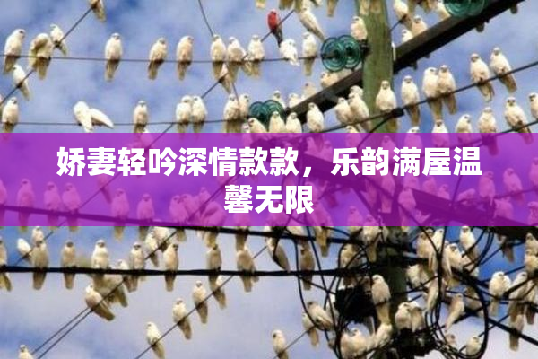 娇妻轻吟深情款款，乐韵满屋温馨无限