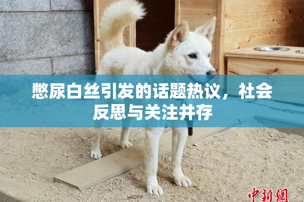 憋尿白丝引发的话题热议，社会反思与关注并存