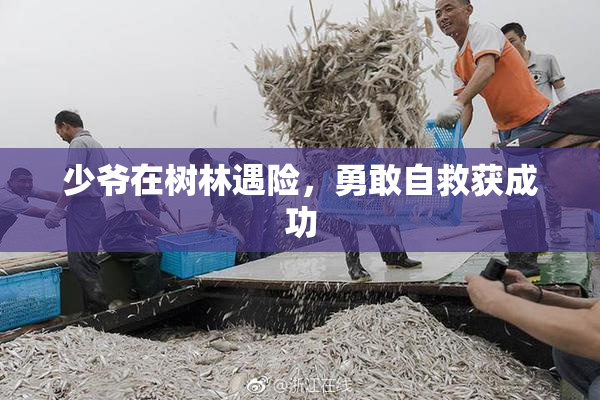 少爷在树林遇险，勇敢自救获成功