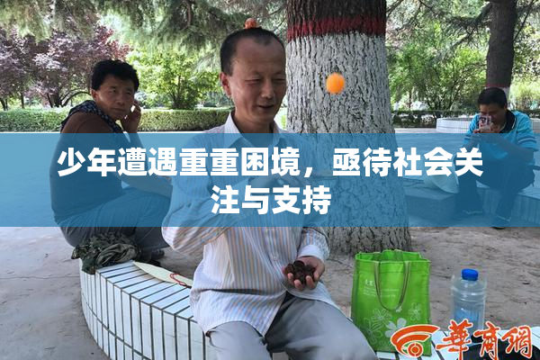 少年遭遇重重困境，亟待社会关注与支持
