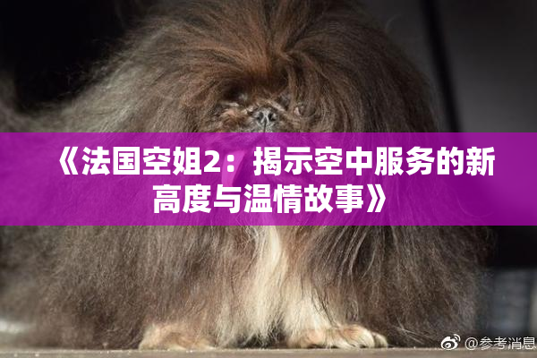 《法国空姐2：揭示空中服务的新高度与温情故事》