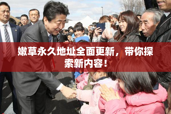 嫩草永久地址全面更新，带你探索新内容！