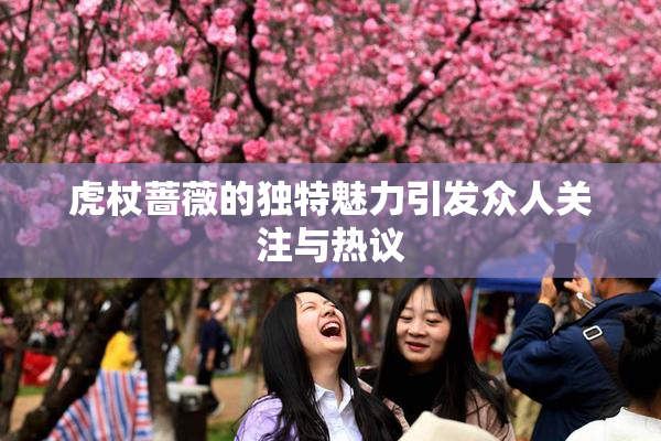 虎杖蔷薇的独特魅力引发众人关注与热议