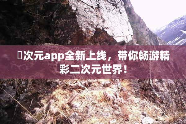囧次元app全新上线，带你畅游精彩二次元世界！
