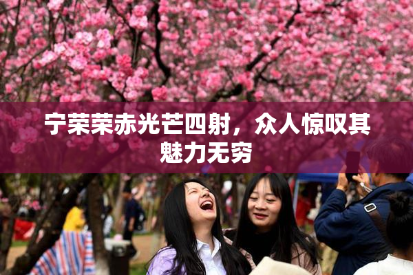 宁荣荣赤光芒四射，众人惊叹其魅力无穷