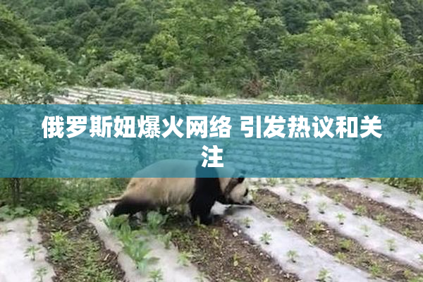 俄罗斯妞爆火网络 引发热议和关注
