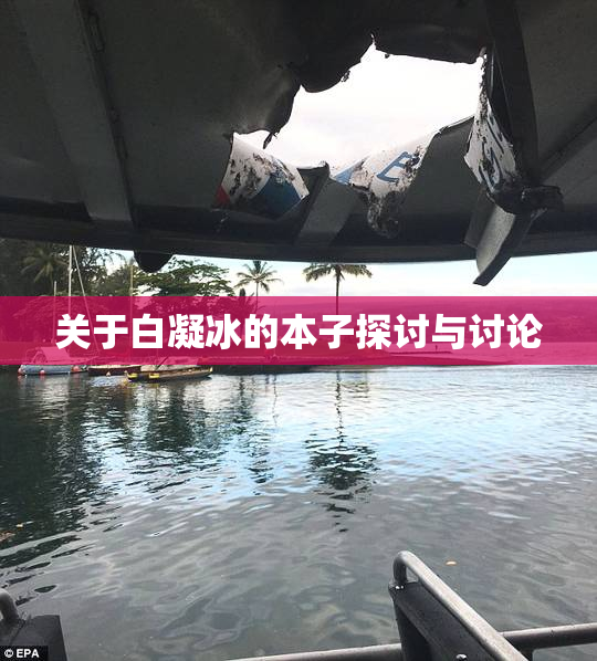关于白凝冰的本子探讨与讨论