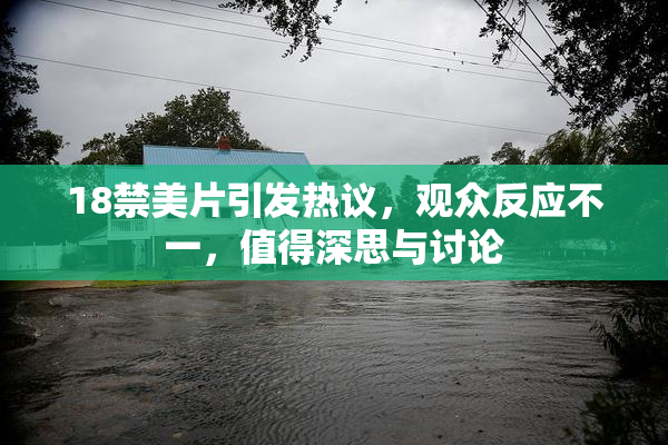18禁美片引发热议，观众反应不一，值得深思与讨论
