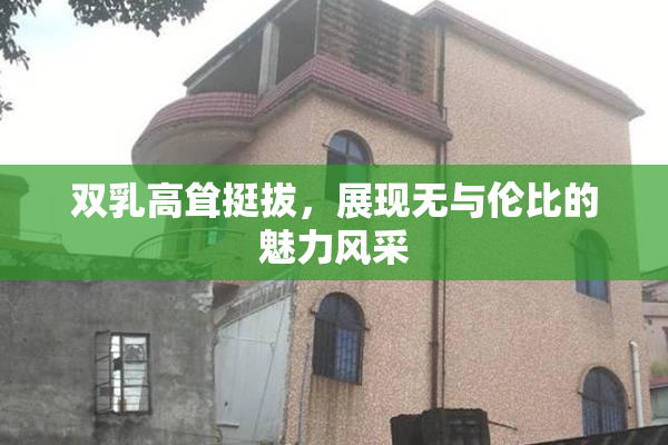 双乳高耸挺拔，展现无与伦比的魅力风采