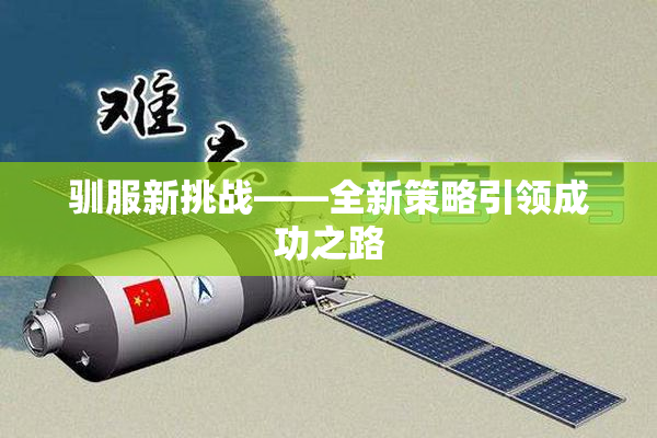 驯服新挑战——全新策略引领成功之路