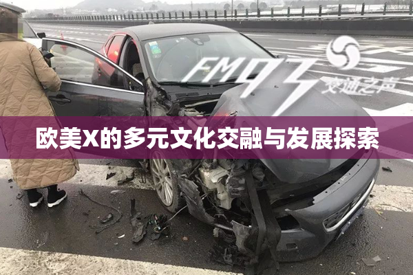 欧美X的多元文化交融与发展探索