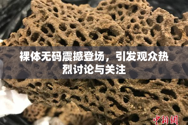 裸体无码震撼登场，引发观众热烈讨论与关注