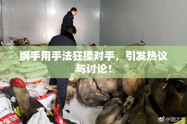 纲手用手法狂揉对手，引发热议与讨论！