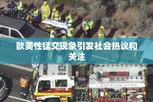 欧美性猛交现象引发社会热议和关注