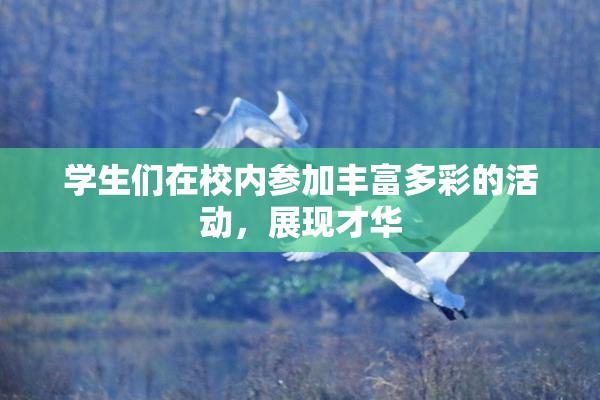 学生们在校内参加丰富多彩的活动，展现才华