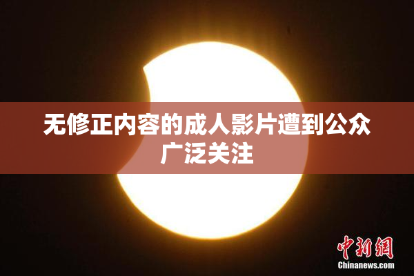 无修正内容的成人影片遭到公众广泛关注