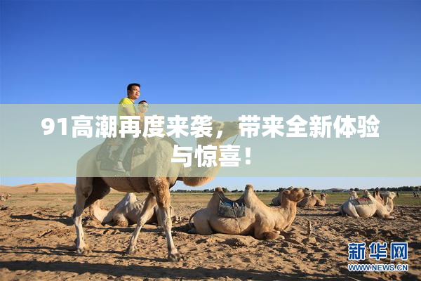 91高潮再度来袭，带来全新体验与惊喜！