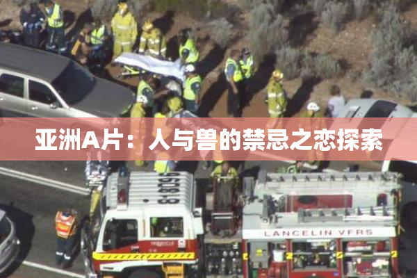亚洲A片：人与兽的禁忌之恋探索