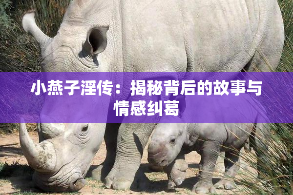 小燕子淫传：揭秘背后的故事与情感纠葛
