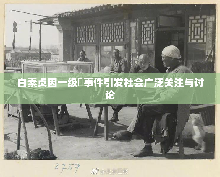 白素贞因一级婬事件引发社会广泛关注与讨论