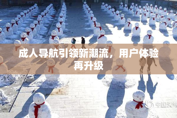 成人导航引领新潮流，用户体验再升级
