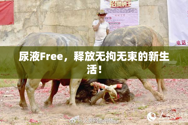 尿液Free，释放无拘无束的新生活！
