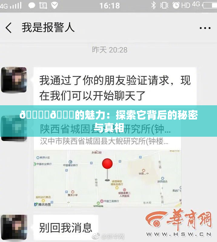 🔞‌🍌的魅力：探索它背后的秘密与真相