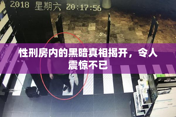 性刑房内的黑暗真相揭开，令人震惊不已
