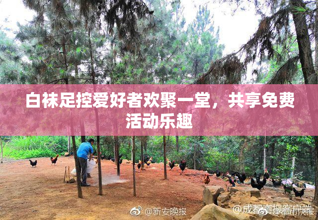 白袜足控爱好者欢聚一堂，共享免费活动乐趣