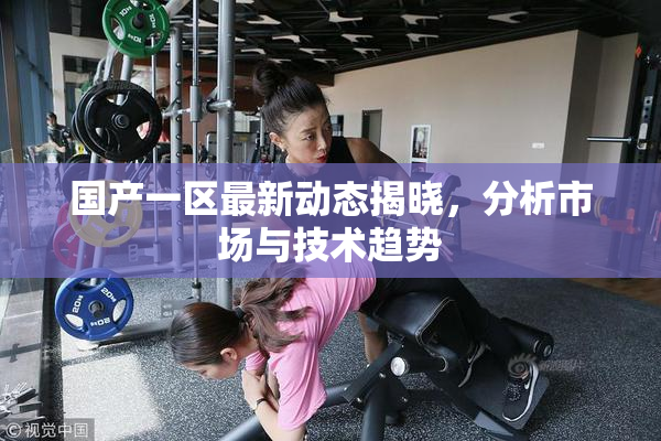 国产一区最新动态揭晓，分析市场与技术趋势