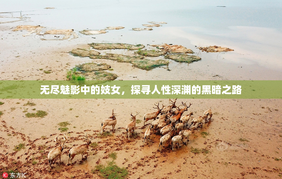 无尽魅影中的妓女，探寻人性深渊的黑暗之路
