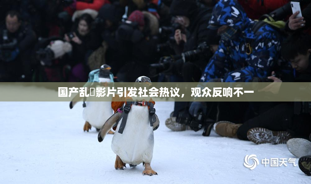 国产乱婬影片引发社会热议，观众反响不一