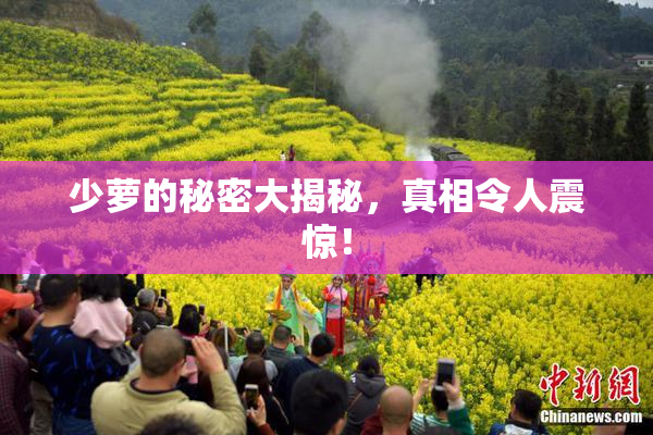 少萝的秘密大揭秘，真相令人震惊！