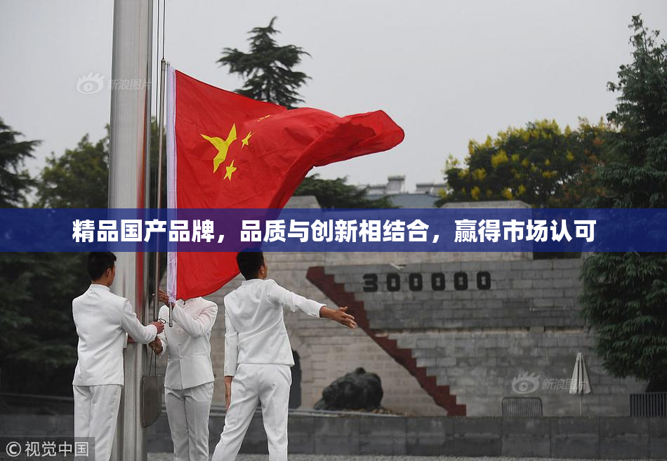 精品国产品牌，品质与创新相结合，赢得市场认可