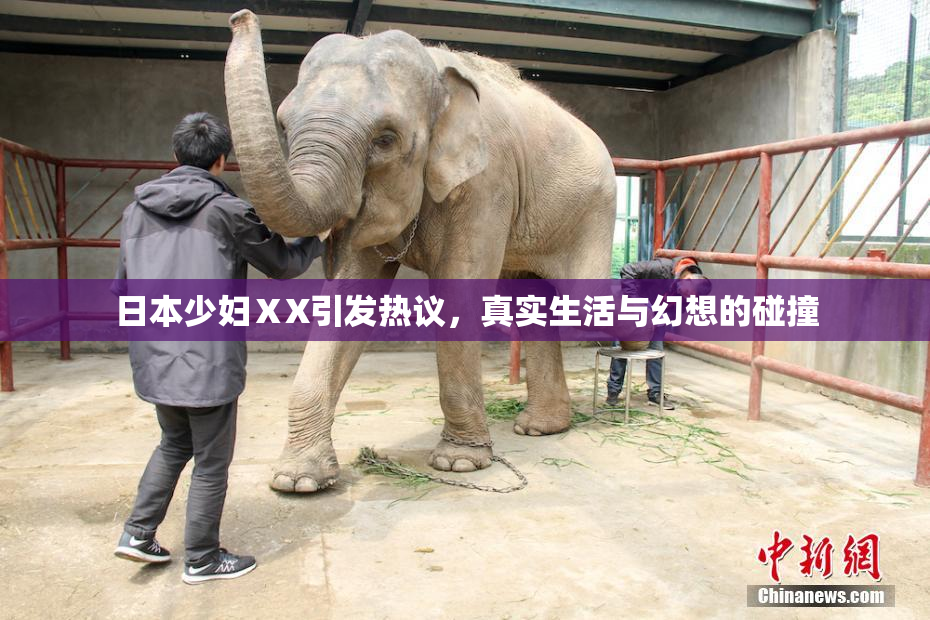 日本少妇ⅩX引发热议，真实生活与幻想的碰撞
