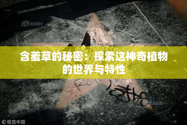 含羞草的秘密：探索这神奇植物的世界与特性