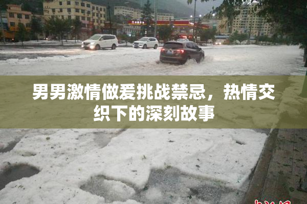 男男激情做爰挑战禁忌，热情交织下的深刻故事