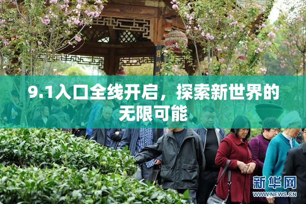 9.1入口全线开启，探索新世界的无限可能