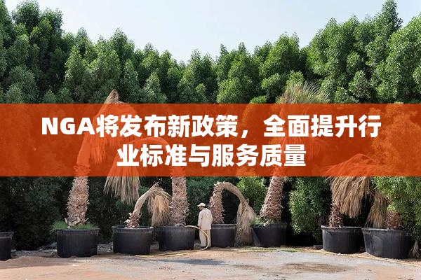 NGA将发布新政策，全面提升行业标准与服务质量
