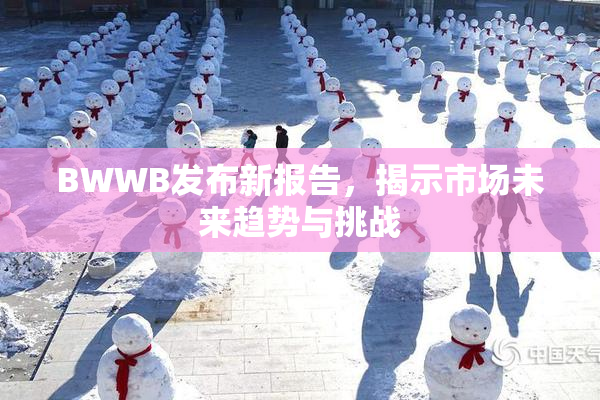BWWB发布新报告，揭示市场未来趋势与挑战