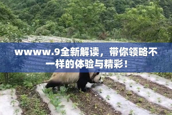 wwww.9全新解读，带你领略不一样的体验与精彩！